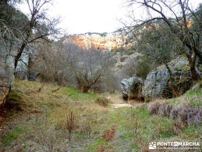 Hoces y cañones del Río Piedra y del Río Gallo -- Laguna Gallocanta - actividad- fines de semana